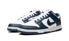Nike Dunk Low Valerian Blue