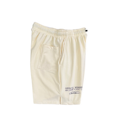 Shorts Jordan Bege
