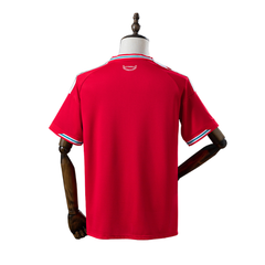 Camisa de Futebol Wales Adidas 2026 Principal - Versão Torcedor