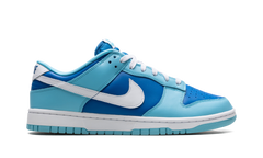 Nike Dunk Low Retro Argon