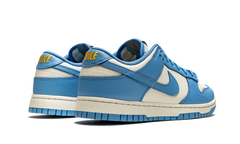 Nike Dunk Low Coast
