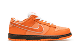 Tênis Casual Nike SB Dunk Low Concepts Orange Lobster