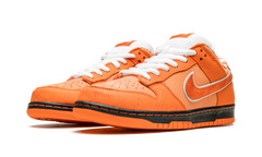Nike SB Dunk Concepts Orange Lobster