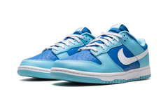 Nike Dunk Low Retro Argon