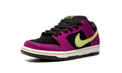 Nike SB Dunk Low ACG Terra Red Plum