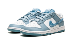 Nike Dunk Low Essential Paisley Pack Worn